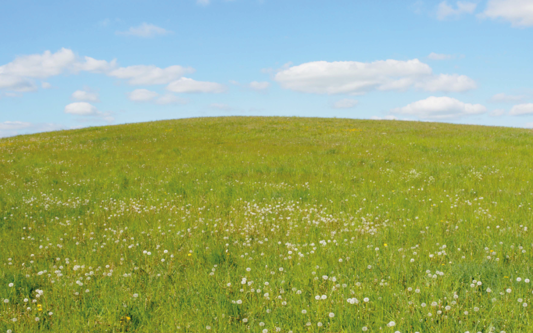 Slider2